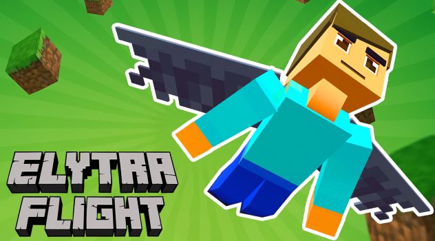 Elytra Flight