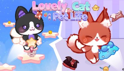 Lovely Cat Pet Life
