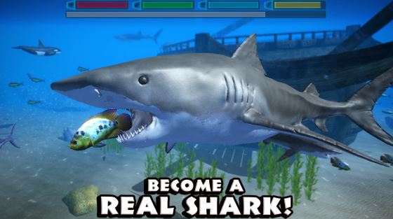 Shark Simulator