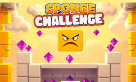 Sponge Challenge
